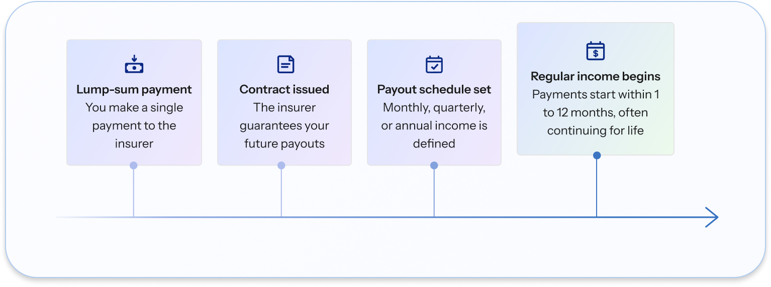 Diagram showing how SPIAs work. First a lump-sum payment, then the contract is issued, then the payout schedule is set, and finally regular income begins with payments starting within 1 to 12 months, often continuing for life.